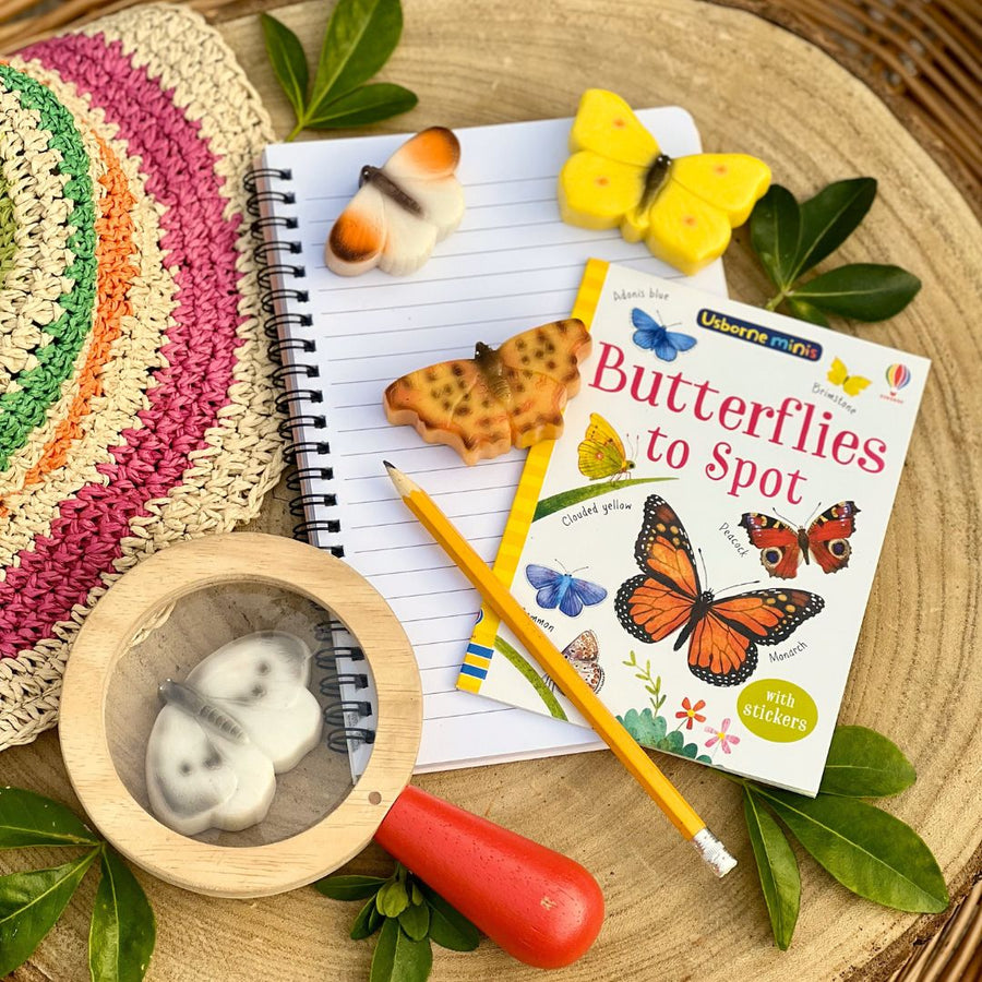 Play Stones (Butterflies)