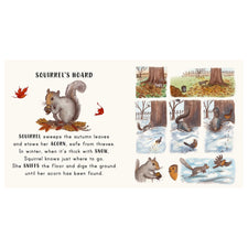 Slow Down...in the Park - Calming Nature Stories for Little Ones | Board Book