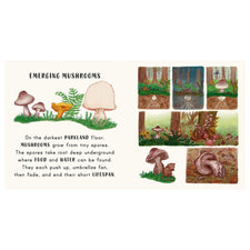 Slow Down...in the Park - Calming Nature Stories for Little Ones | Board Book