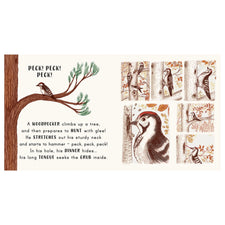 Slow Down...in the Park - Calming Nature Stories for Little Ones | Board Book