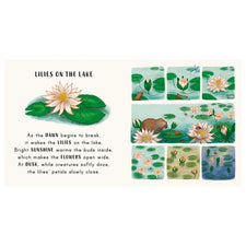 Slow Down...in the Park - Calming Nature Stories for Little Ones | Board Book