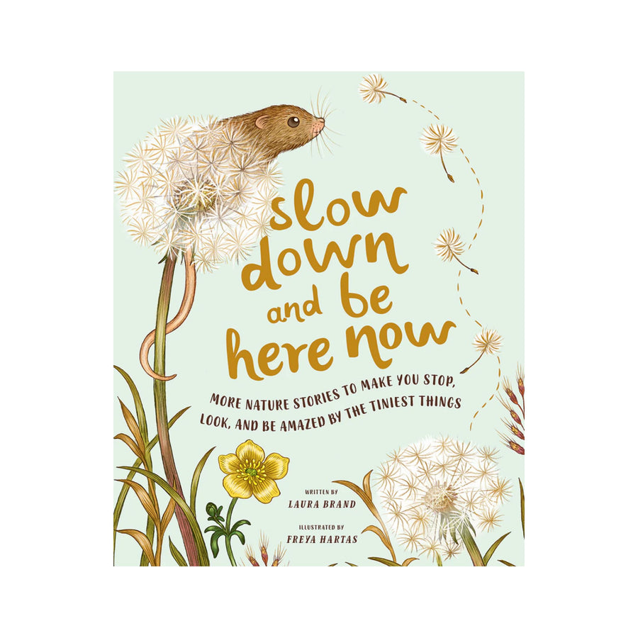 Slow Down and Be Here Now: More Nature Stories to Make you Stop, Look, and be Amazed  by the Tiniest Things