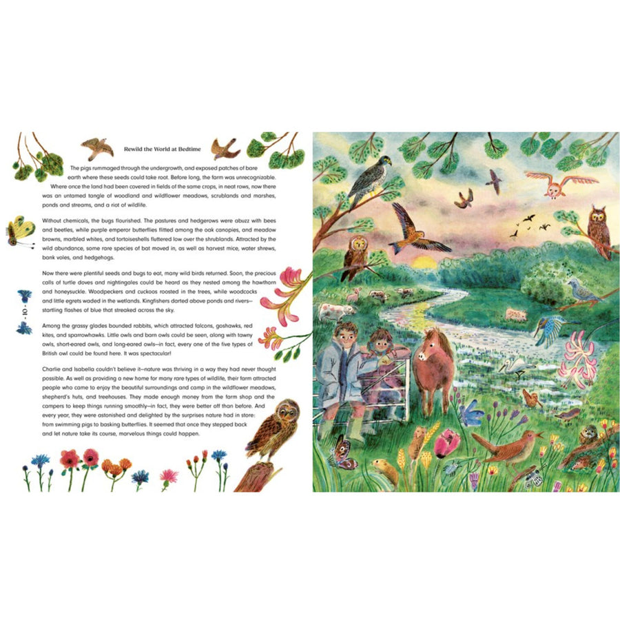 Rewild the World at Bedtime: Hopeful Stories from Mother Nature | Hardcover
