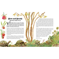 Rewild the World at Bedtime: Hopeful Stories from Mother Nature | Hardcover
