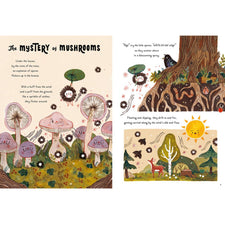 5 Minute Nature Stories: A Picture Book | Hardcover