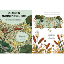 5 Minute Nature Stories: A Picture Book | Hardcover
