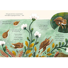 5 Minute Nature Stories: A Picture Book | Hardcover