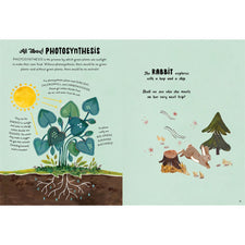 5 Minute Nature Stories: A Picture Book | Hardcover