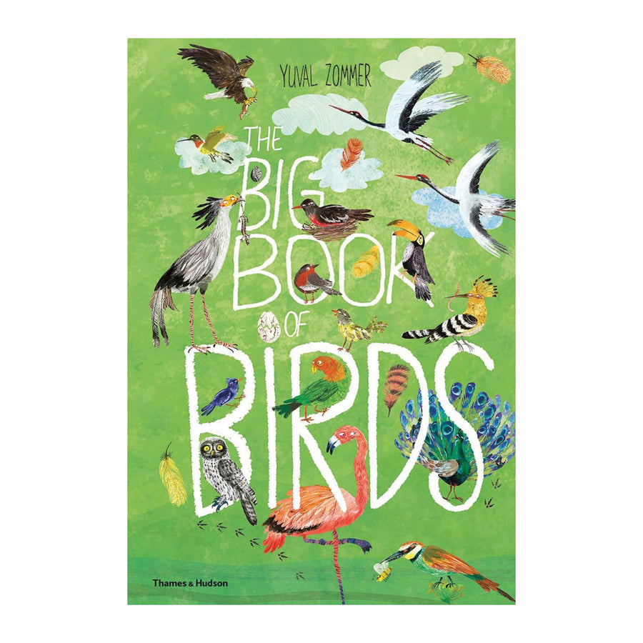The Big Book of Birds | Hardcover