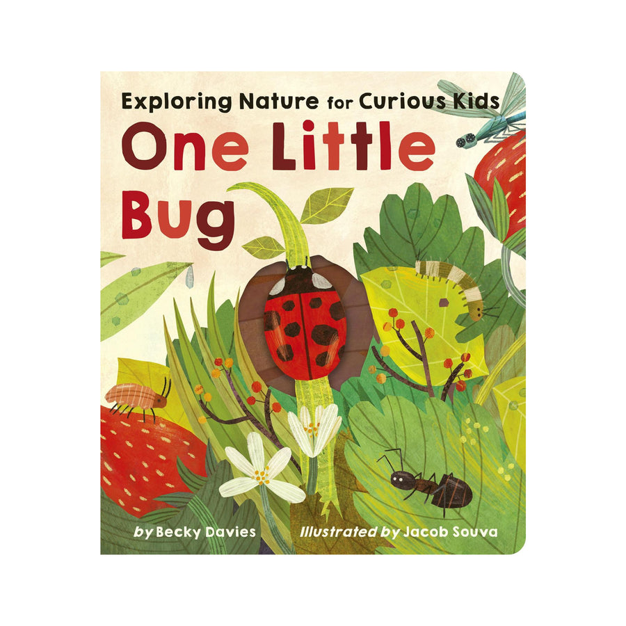 One Little Bug: Exploring Nature for Curious Kids | Board Book