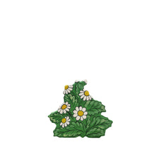 Daisy | Wooden Toy Flower
