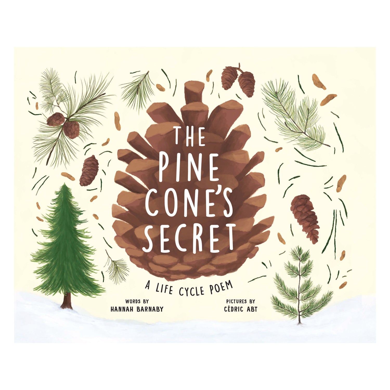 The Pine Cone's Secret: A Life Cycle Poem | Hardcover