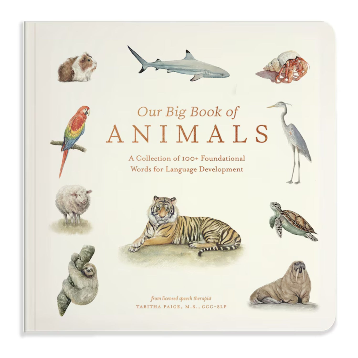 Our Big Book of Animals: First 100 Animal Words for Language Development, including Farm, Jungle, Pets, Bugs, and More