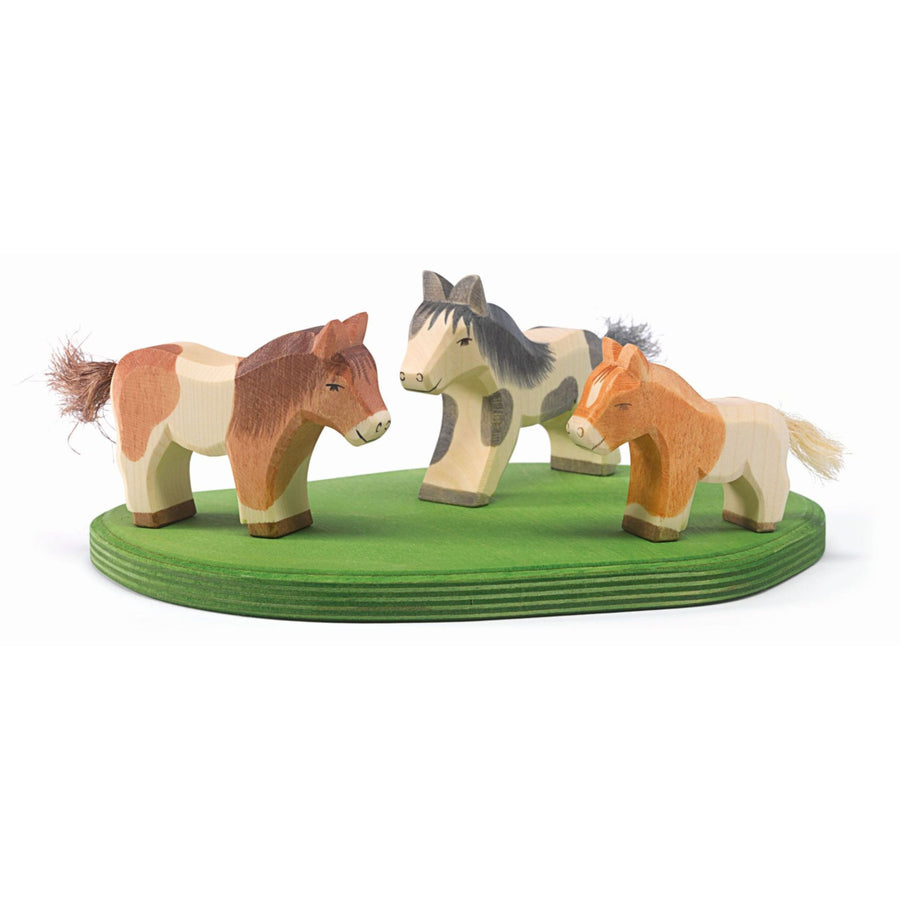 Ostheimer Shetland Pony (Standing)