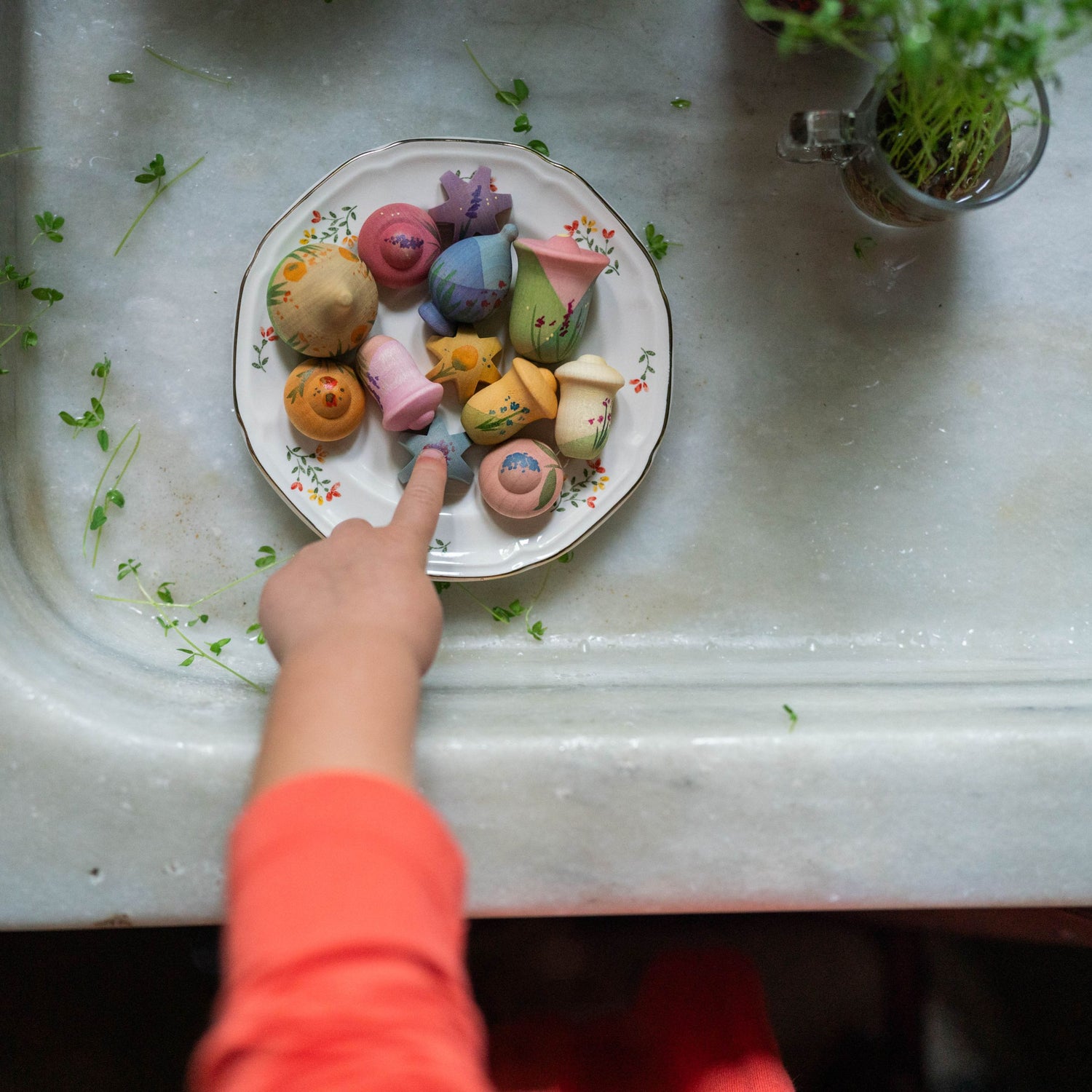 Grapat Wood Flower Meadow