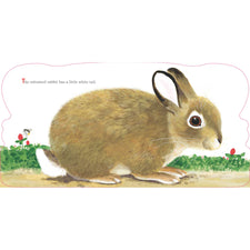 Richard Scarry's Bunnies: A Classic Board Book for Babies and Toddlers