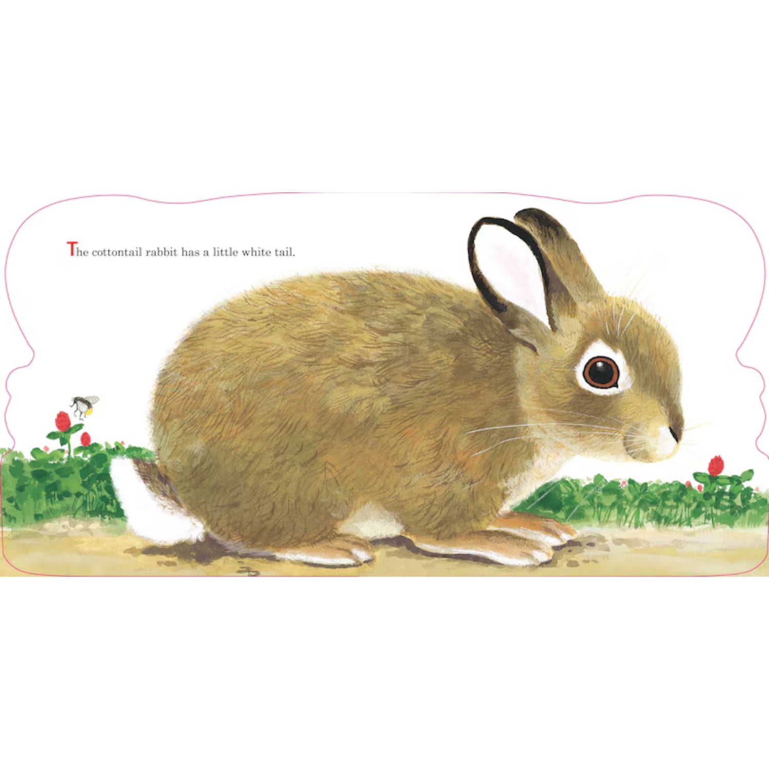 Richard Scarry's Bunnies: A Classic Board Book for Babies and Toddlers