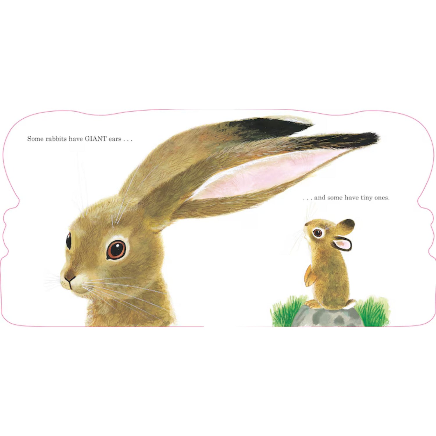 Richard Scarry's Bunnies: A Classic Board Book for Babies and Toddlers