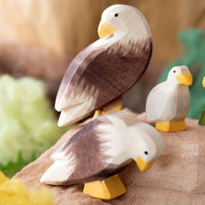 Ostheimer Bald Eagle (Sitting)