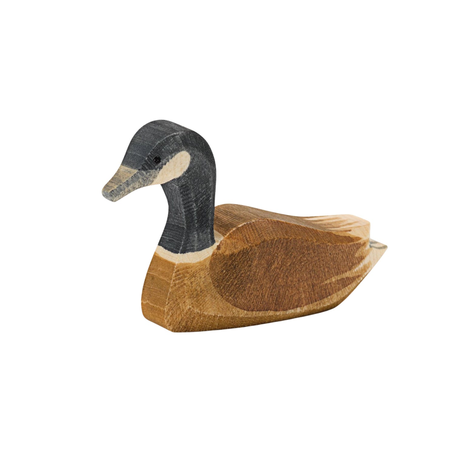 Ostheimer Canada Goose (Swimming)