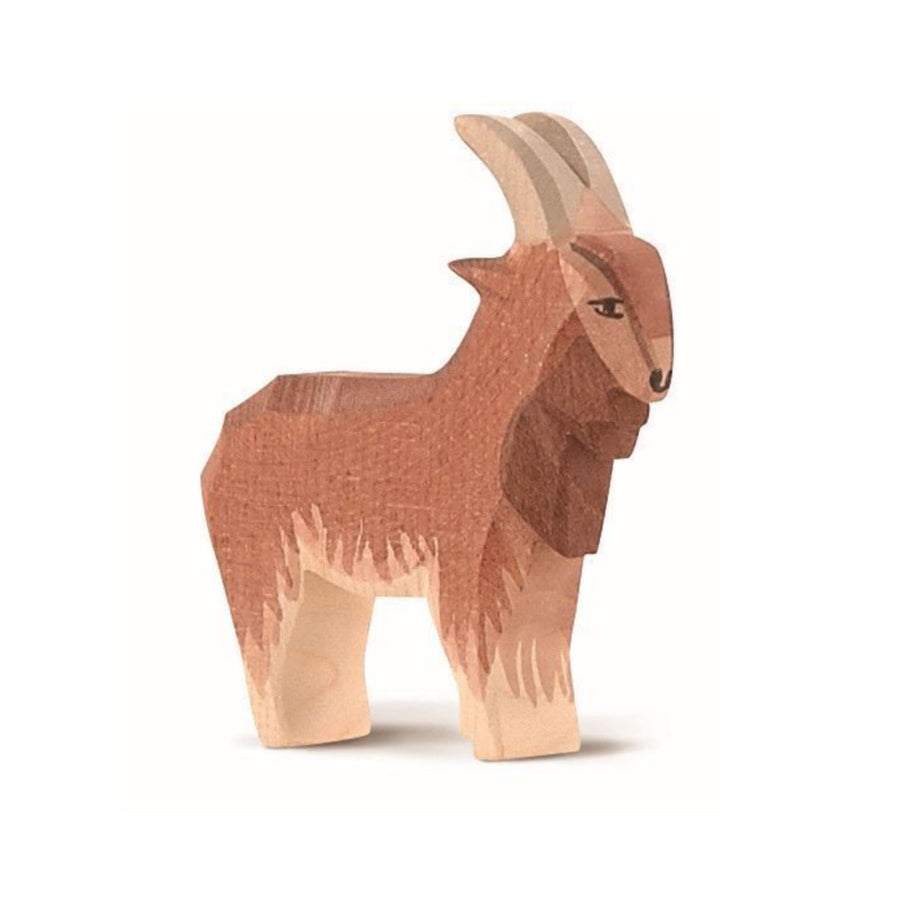 Ostheimer Goat (Male)