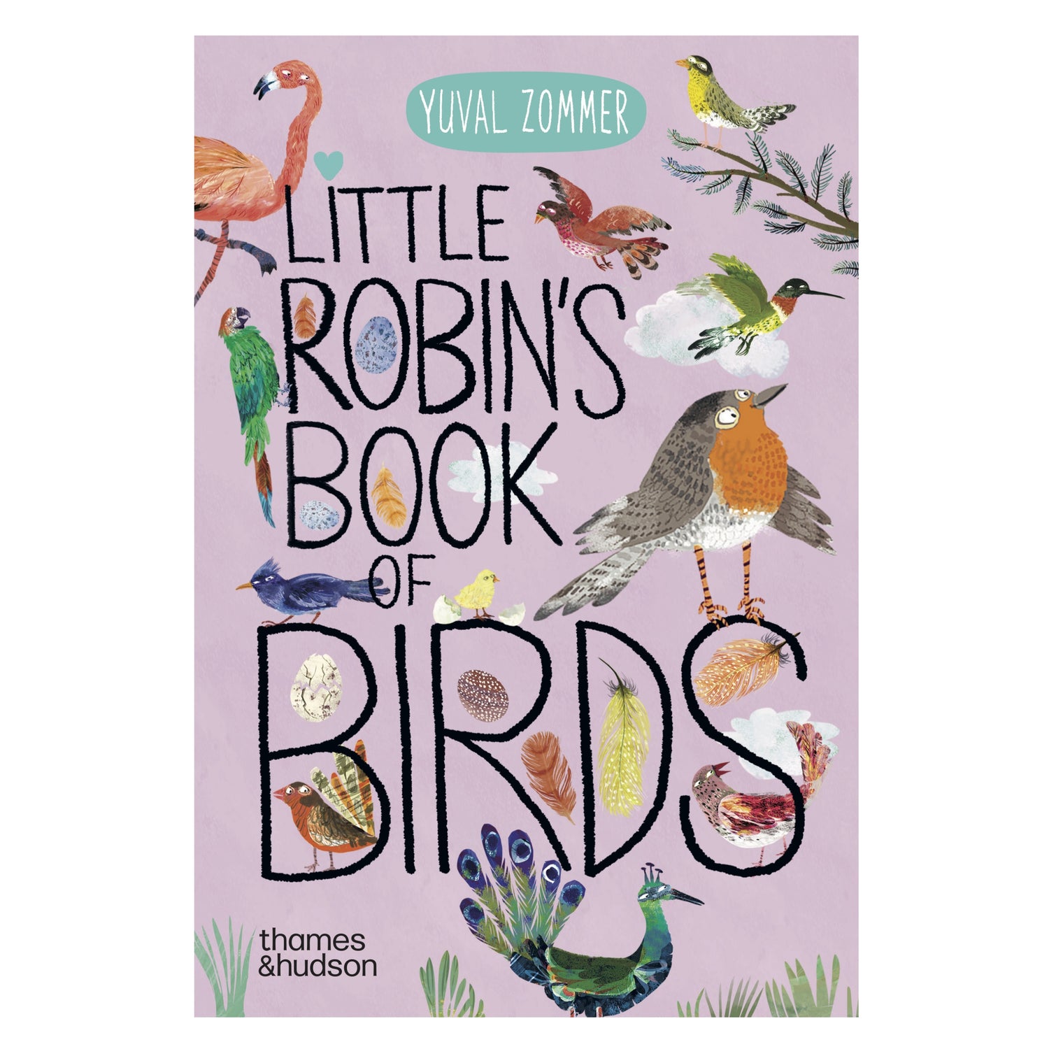 Little Little Robin's Book of the Birds | Board Book
