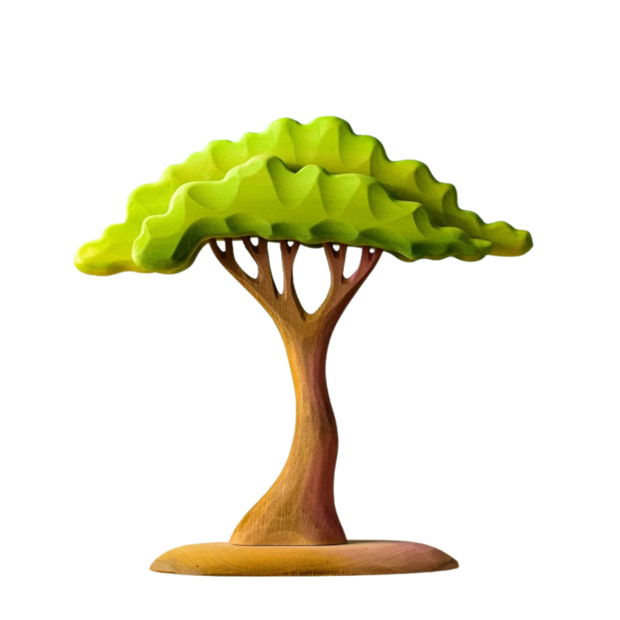 Large Acacia Tree