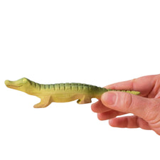 PRE-ORDER Baby Crocodile