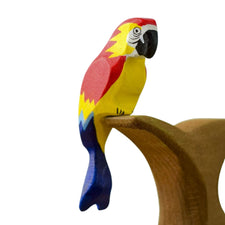 Scarlet Macaw Parrot