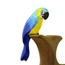 Blue Macaw Parrot