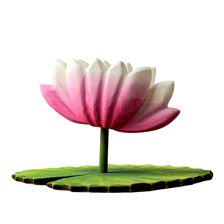 Lotus Flower