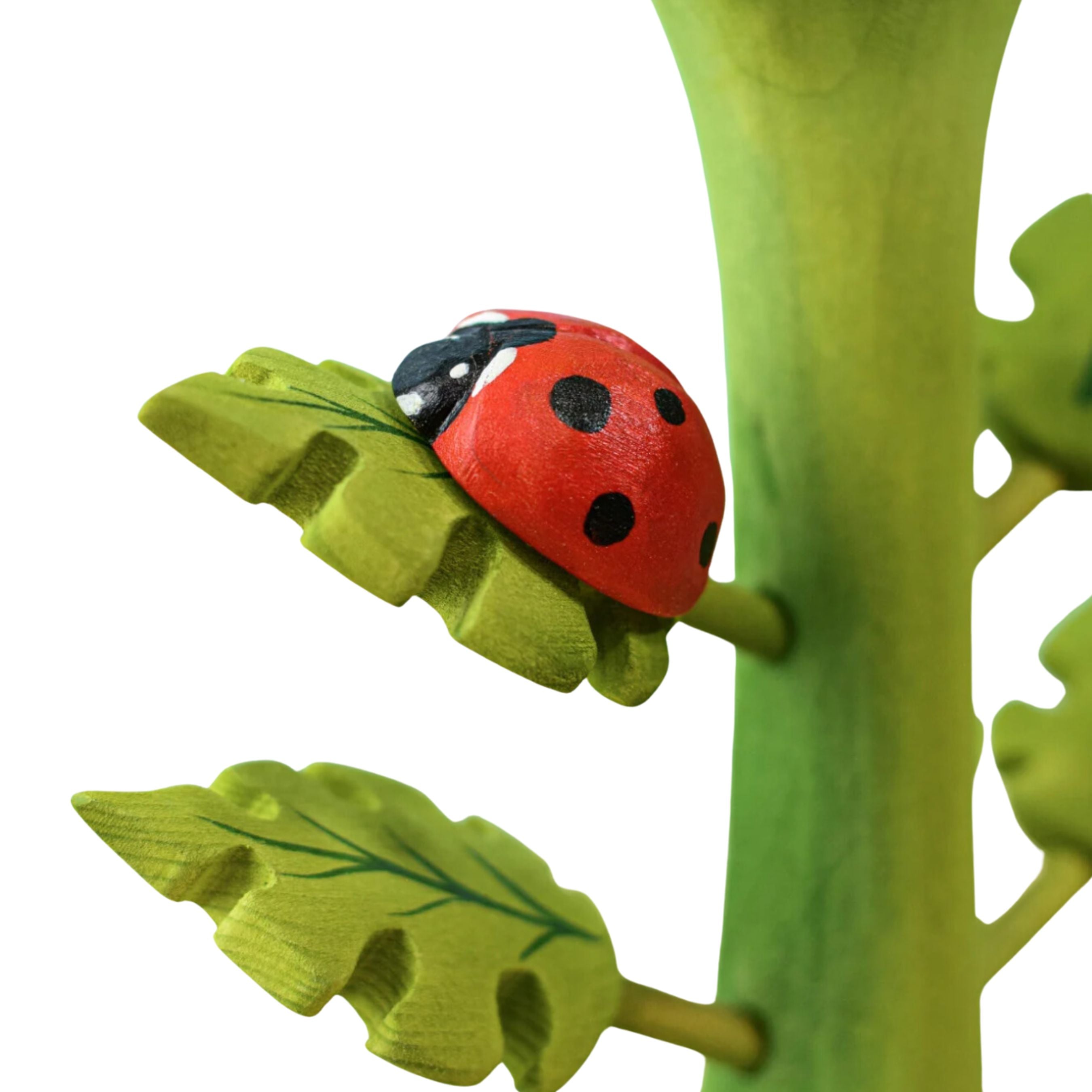 Bumbu Toys Wooden Ladybug I The Playful Peacock