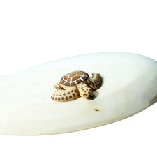 PRE-ORDER Wooden Baby Turtle (Brown)