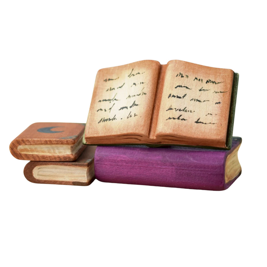 Spell Books Set | Halloween Toy (Set of 4)