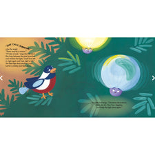 The Christmas Light that Didn't Shine | Picture Book