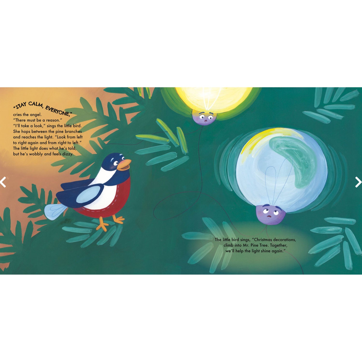 The Christmas Light that Didn't Shine | Picture Book
