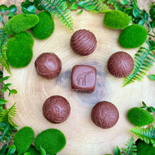 Roll Around Sensory Stones (Wild Animals)