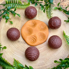 Roll Around Sensory Stones (Wild Animals)
