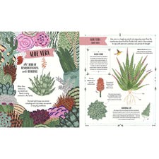 Grow: A Family Guide To Plants And How To Grow Them | Hardcover