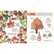 Grow: A Family Guide To Plants And How To Grow Them | Hardcover