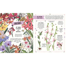Grow: A Family Guide To Plants And How To Grow Them | Hardcover