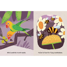 Be Thankful for Plants | Hardcover
