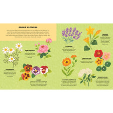 Little Homesteader: A Spring Treasury Of Recipes, Crafts, And Wisdom | Hardcover