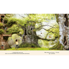 Through the Fairy Door: A Picture Book | Hardcover