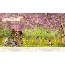 Through the Fairy Door: A Picture Book | Hardcover