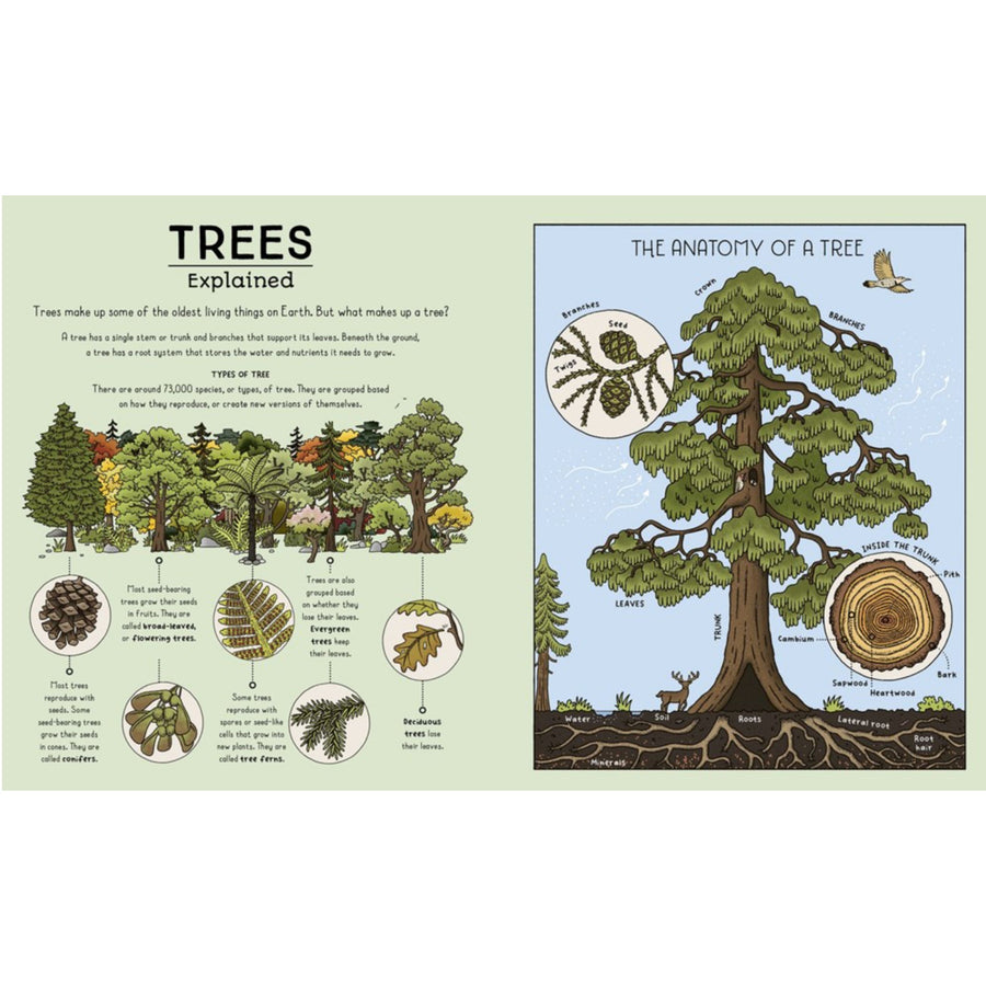Nature Explained: A family guide to 20 nature cycles | Hardcover