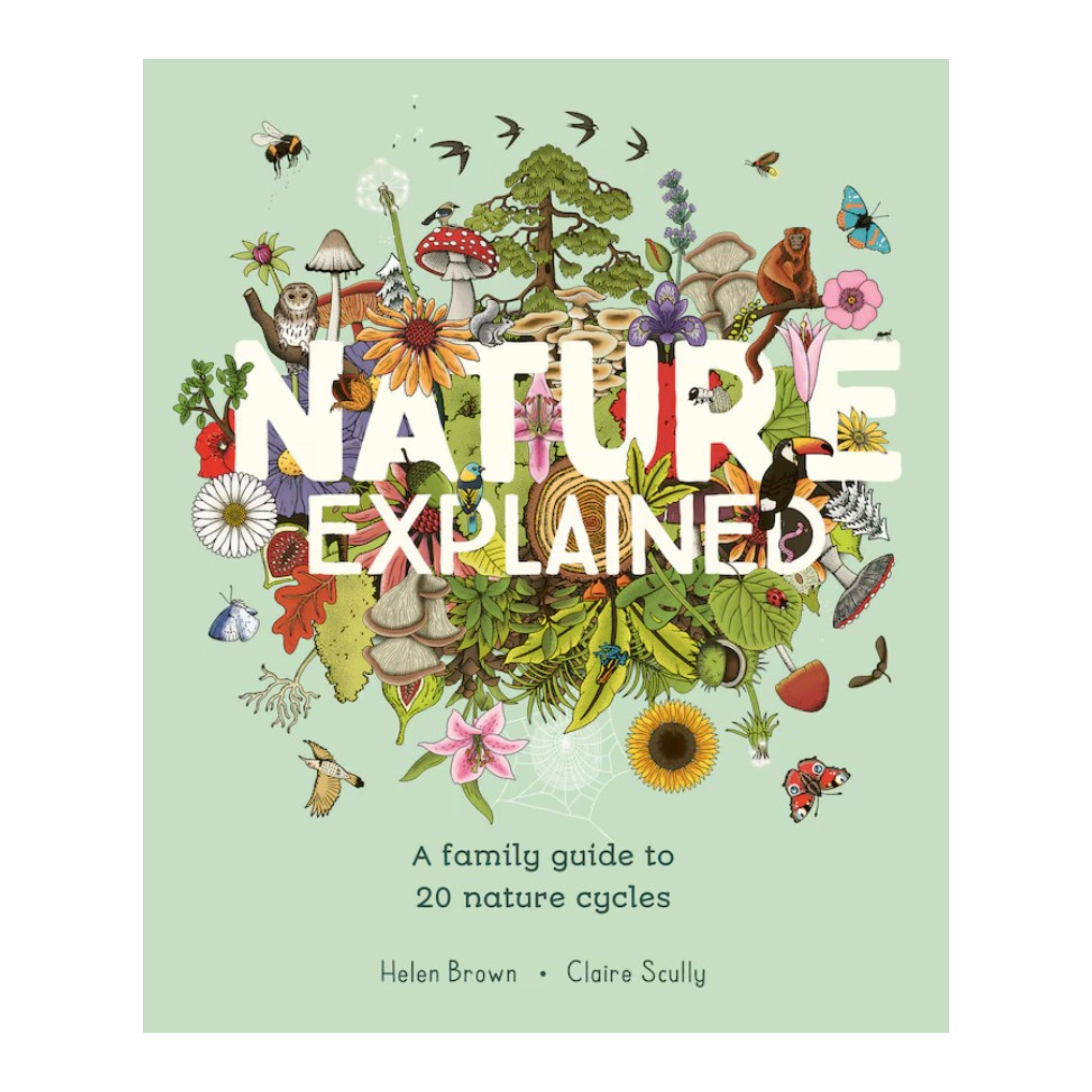 Nature Explained | The Playful Peacock