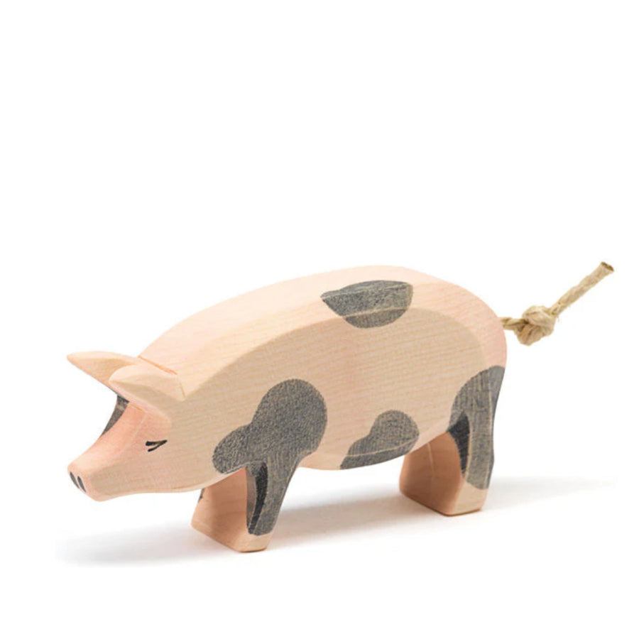 Ostheimer Spotted Pig (Head High)