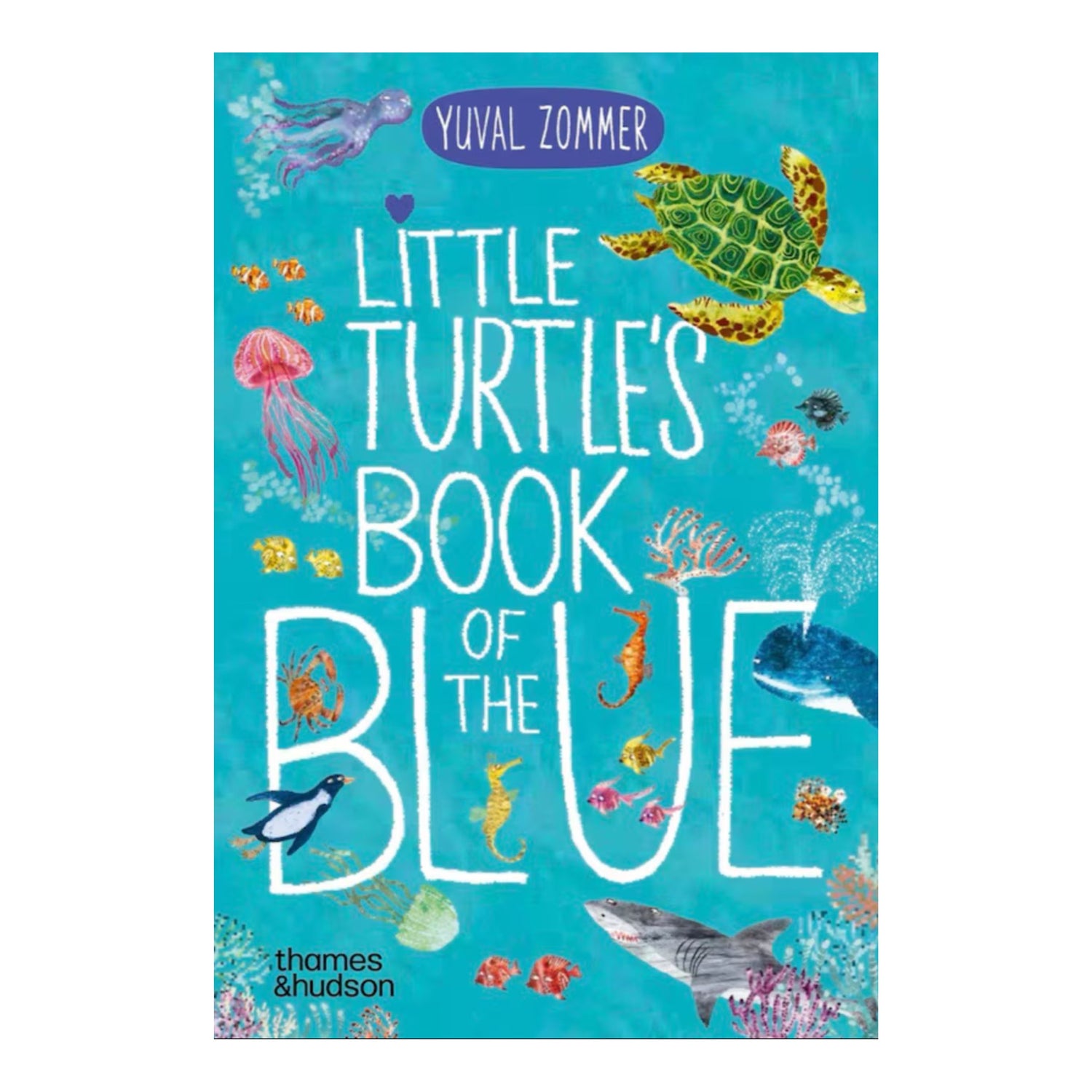 Little Turtle's Book of the Blue | Board Book