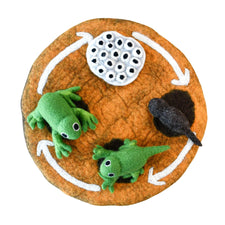Felt Life Cycle of a Frog (Playmat Sold Separately)